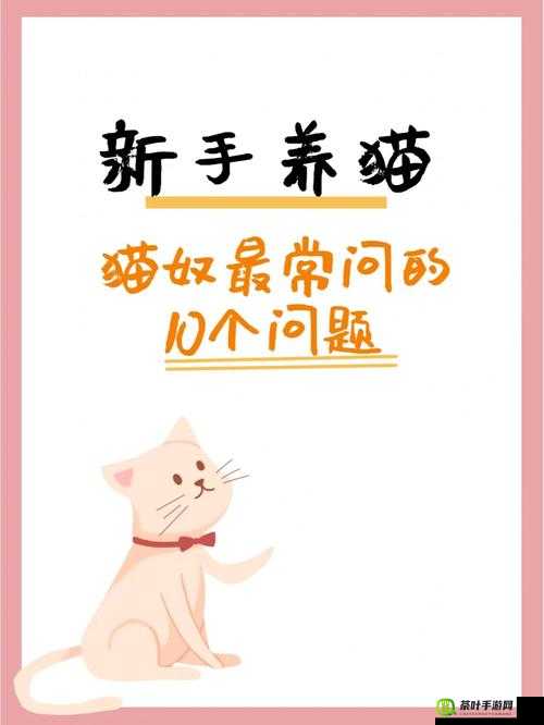 猫咪 MV 最新地域名怎么取：探讨其背后的相关问题与解决方案