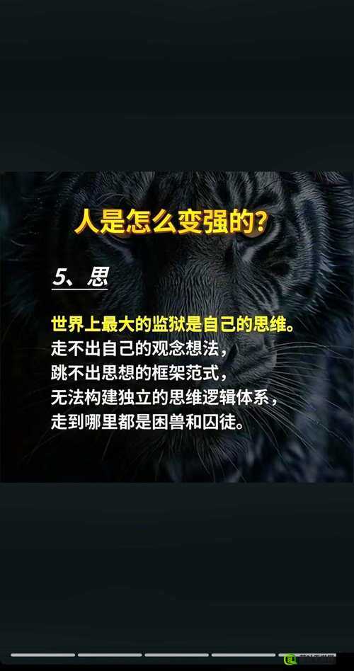 ぱらだ天堂中文在线热点话题探讨：深入剖析相关内容