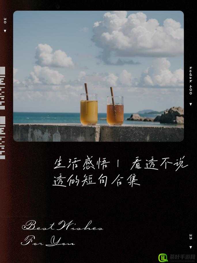 九一爽爽引发的别样思考与感悟