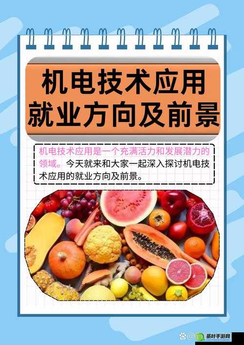 美国Д30 及其相关技术特点与应用领域探讨