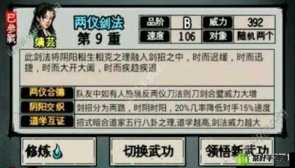 深入剖析武当武学精髓，两仪剑法威力几何及其全面武学大全解析